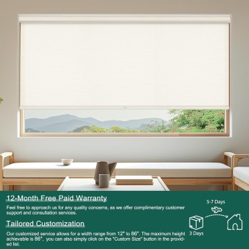 Light Filtering Roller Shades for Windows with Cassette Valance Cordless, Jacquard Fabric Sheer Roller Blinds, Thermal Insulation for Door,Home Office,Easy to Install,Beige